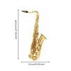 Alto Saxophone Engraved Sax Polished for Lessons, School Band