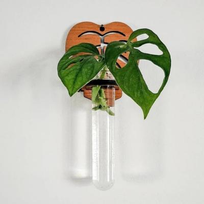 Wall Air Plant Holder Wooden Geometric Air Plant Stand Rustic Wall Mount Planter for Home Living Room Bedroom Decor