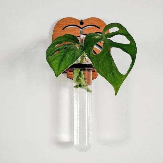 Wall Air Plant Holder Wooden Geometric Air Plant Stand Rustic Wall Mount Planter for Home Living Room Bedroom Decor