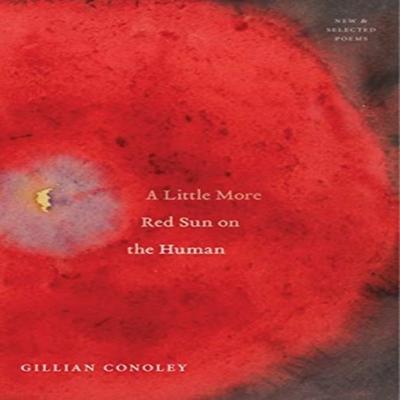 A Little More Red Sun On the Human by Gillian Conoley Paperback Book 9781643620114