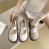 Fashion Retro Woman Shoes Female Footwear Shallow Mouth Soft Clogs Platform Dress New Summer Comfortable Creepers Mary Janes Flock