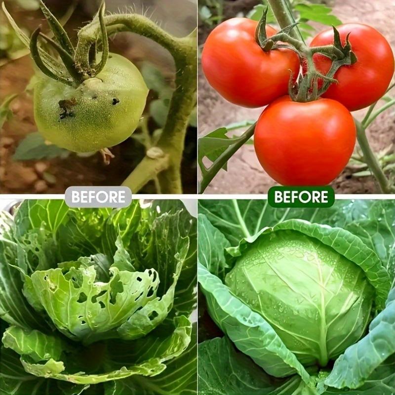 1pc Multi-Purpose Garden Plant Protector Cover - Fiberglass- Ideal for Flower & Lawn Care, Blocks Rodent Damage, Garden Plant Protection