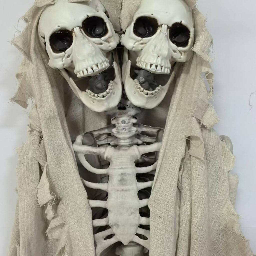 Halloween 5.5ft Skeleton Simulation Human Plastic Skeleton Haunted House Prop Skeleton Decoration