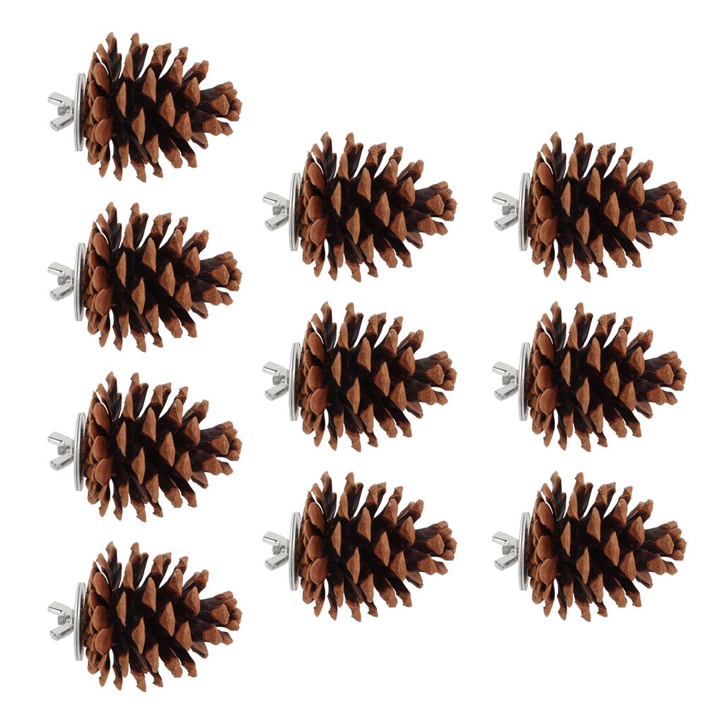 10pcs Bird Bite Pine Cones Natural Pine Cone Chewing Bird Toy for Parakeet Cockatiel Conure Finch Budgie Macaw