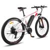 FAFREES F28 MT Mountain Electric Bicycle 36V15Ah Battery 250W Motor 27 Inch Off-Road Tires 150KG Load E-Bike For Adult