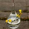 Glass Hanging Vase Flower Planter Container Pot Wedding Decor Tea Light Holder