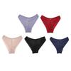 Women Seamless Underwear Hollow Mesh Plus Size Panties Lace Mesh Cotton Mid Rise Underwear Set 5pcs