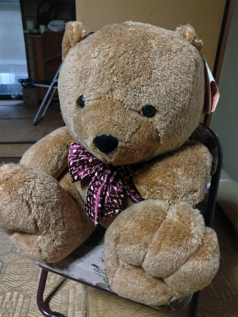 [USED] Teddy Bear Teddy Bear