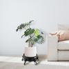 Premium PP Rolling Bucket Dolly Stable Casters Plant Pot Stand for Car Cleaning Garden and Decoration Tasks