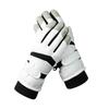 BLPE Men's Winter Outdoor Ski & Cycling Gloves