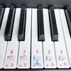 Piano Keyboard Sticker 88/61/54/49/37 Piano Sticker Clear Removable Piano Keyboard Music Labels for Children