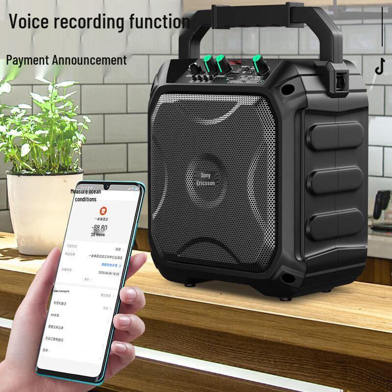 Soaiy SA-F22 Portable Outdoor Speaker