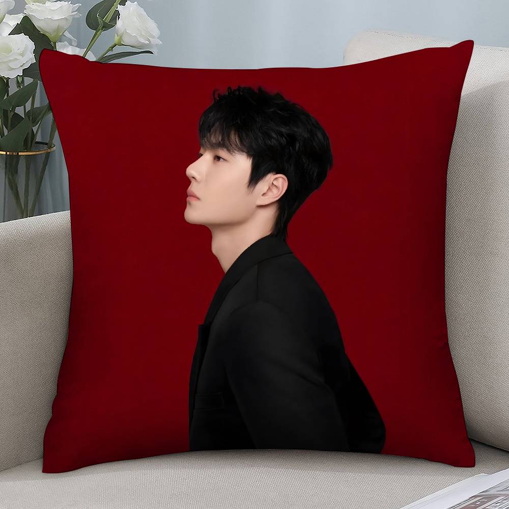 W-Wang Yibo Pillow Case Short Plush Sofa Decorative Gift Home Double-sided Printing Cushion