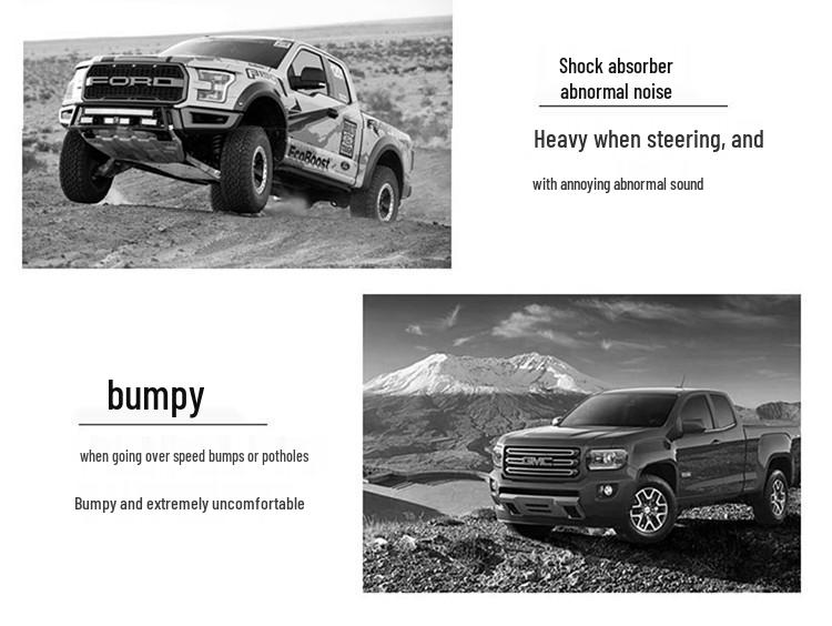 Rich 7 Adjustable Nitrogen Shock Absorber & 2-Inch Lift Kit