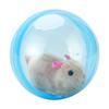 Built-in Plush Animal Interactive Cat Toy Transparent Hamster Chasing Ball  Training