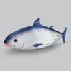 Amuse Ocean World Bonito GROSS Marineblau Plüschtier Gesamtlänge ca.. 80cm 704325
