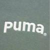 Puma Team Fz Hoodie With Letter Embroidery Loose Fit Zip-Up Sweatshirt Unisex Hoodies Light-Green Gray 629953-89