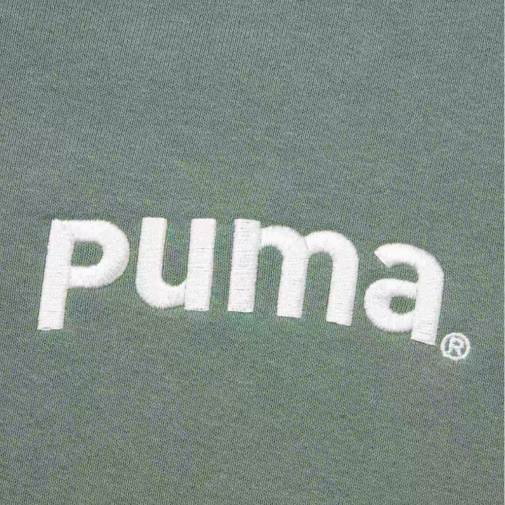 Puma Team Fz Hoodie With Letter Embroidery Loose Fit Zip-Up Sweatshirt Unisex Hoodies Light-Green Gray 629953-89