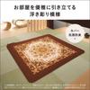 Panasonic Hot Carpet Set with Changeable Cover 2 Tatami Equivalent Brown ~ DC-2HAB5-T