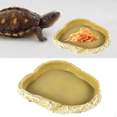 Reptile Food Bowl Pets Terrarium Feeding Plate Water Dish Mealworms Bowls Feeder Tray for Lizards