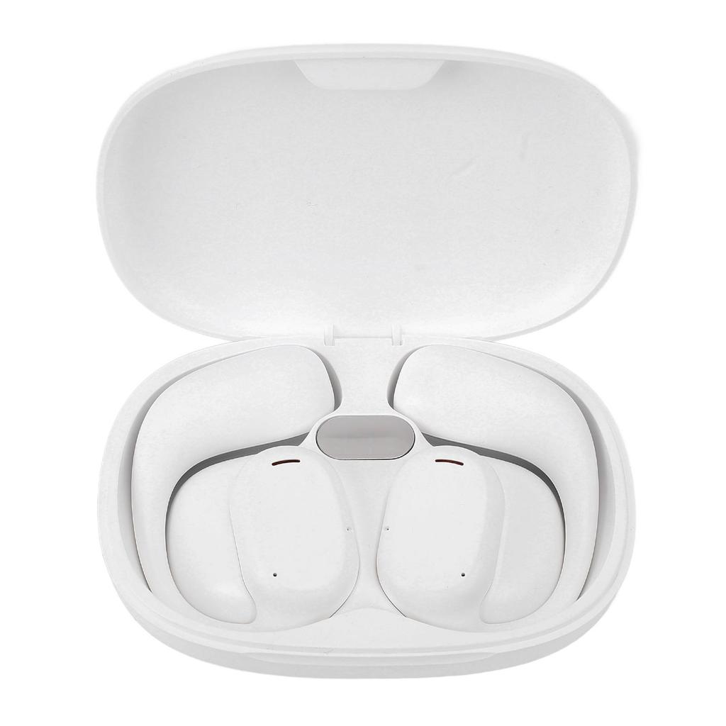 AI Language Translator Earbuds Supports 74 Languages 70 Accents Noise Cancelling Translation Earbuds with   APP for Music Call