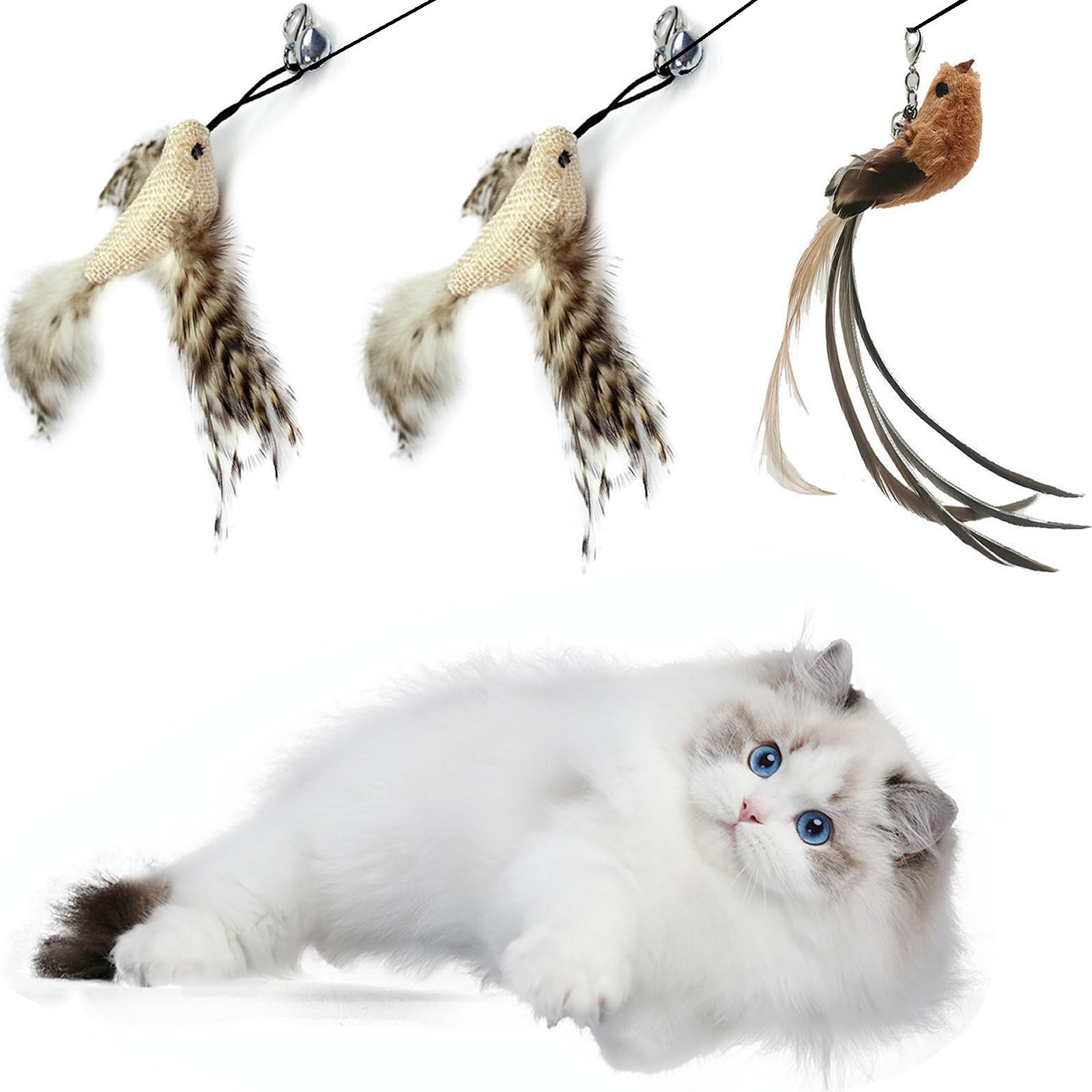 

3 of Ni Cat Teaser Cat Toy Cat Toy Play Cat Fishing Rod (1) & Feathers (3 Nidori Birds)