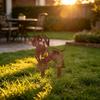 Süße Hund Blumenbeet Dekoration Metall Dackel Gartenstecker, Rostige Tier Silhouette Dekorativer Hof Wetterfester Pfahl Kunst für Draußen Rasen, Weg,