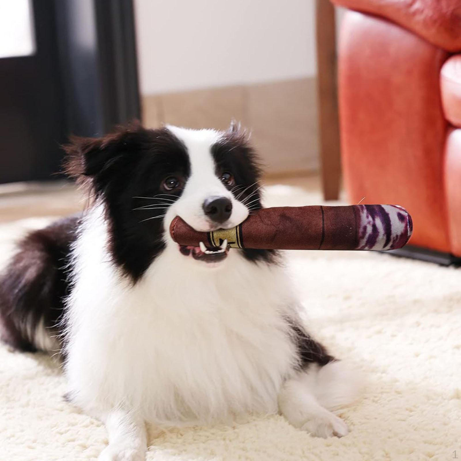 

Dog Plush Toy Squeaky Pet Soft Novelty for Dogs Small Medium Large Puppy