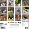 Willow Creek Press, Just Basset Hounds 2026 Wall Calendar, 12'' X 12'', 18-Month Calendar with Stapled Binding