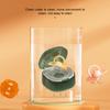 Baby Pacifier Box PP Storage Box Portable Dustproof Bite Music Storage Box Transparent Plastic Packaging Box