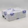 HV0823-100 Nike Air Jordan 4 Retro Oublie-moi pas (aux femmes)