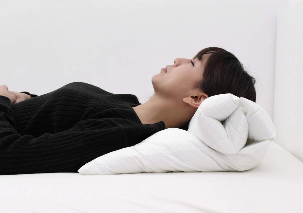 Danfill Pillow Me Pillow Me with Dedicated Pillow Cover JPA213-AKS18-3