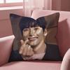 J-Ji C-Chang Wook Cushion Cover Multi-Scene Pillow Cover for Home & Car - Reversible, Soft & Durable for Daily Use