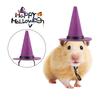 Funny Mini Pet Halloween Costume Comfortable Soft Lizard Witch Costume Set Adjustable Hat Tutu Skirt Halloween Lizard Clothes