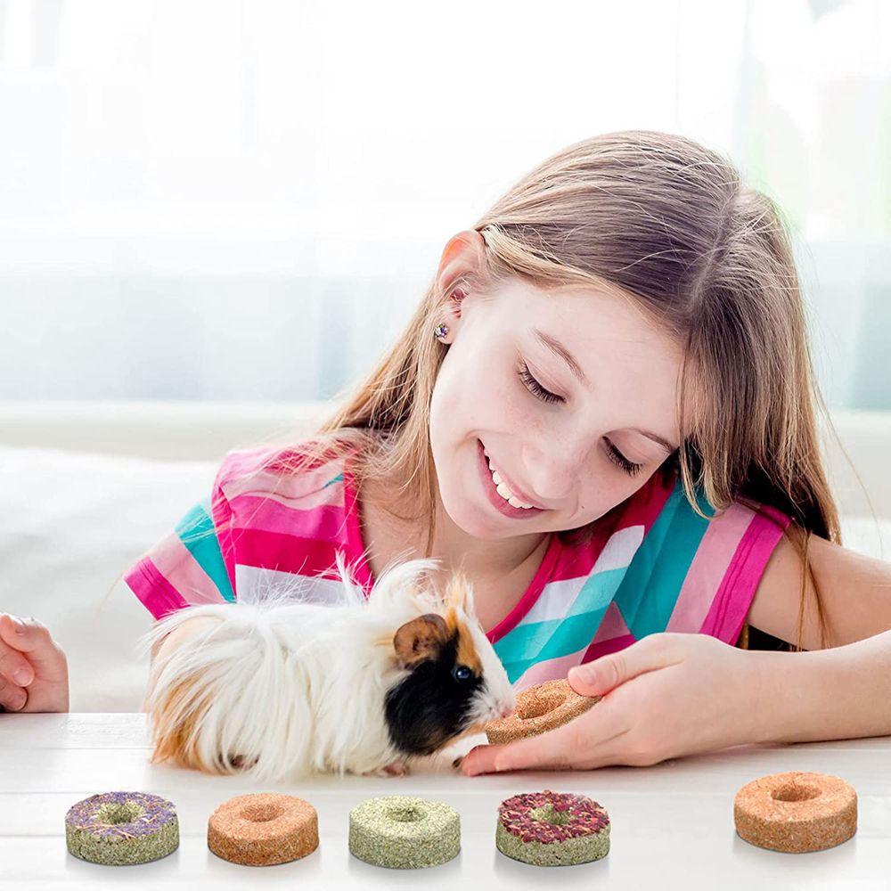 Flowers Flavored Chinchillas Snack Food Cookie Hamster Treats Rabbit Chew Toys Timothy Hay Cakes