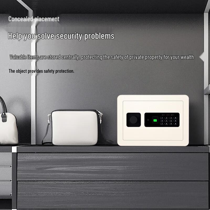 Deli 33559 Fingerprint Password Safe Box