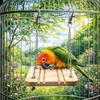 Bite Resistant Small Pet Toy Detachable Parrot Climbing Ladder  Small Animals Play