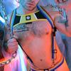 Harness Retro Remix Yellow - Breedwell - Harness
