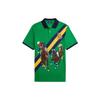 Polo Polo raksta apdrukāts svītrains polo krekls Vīriešu topi Zaļš 710919352-001