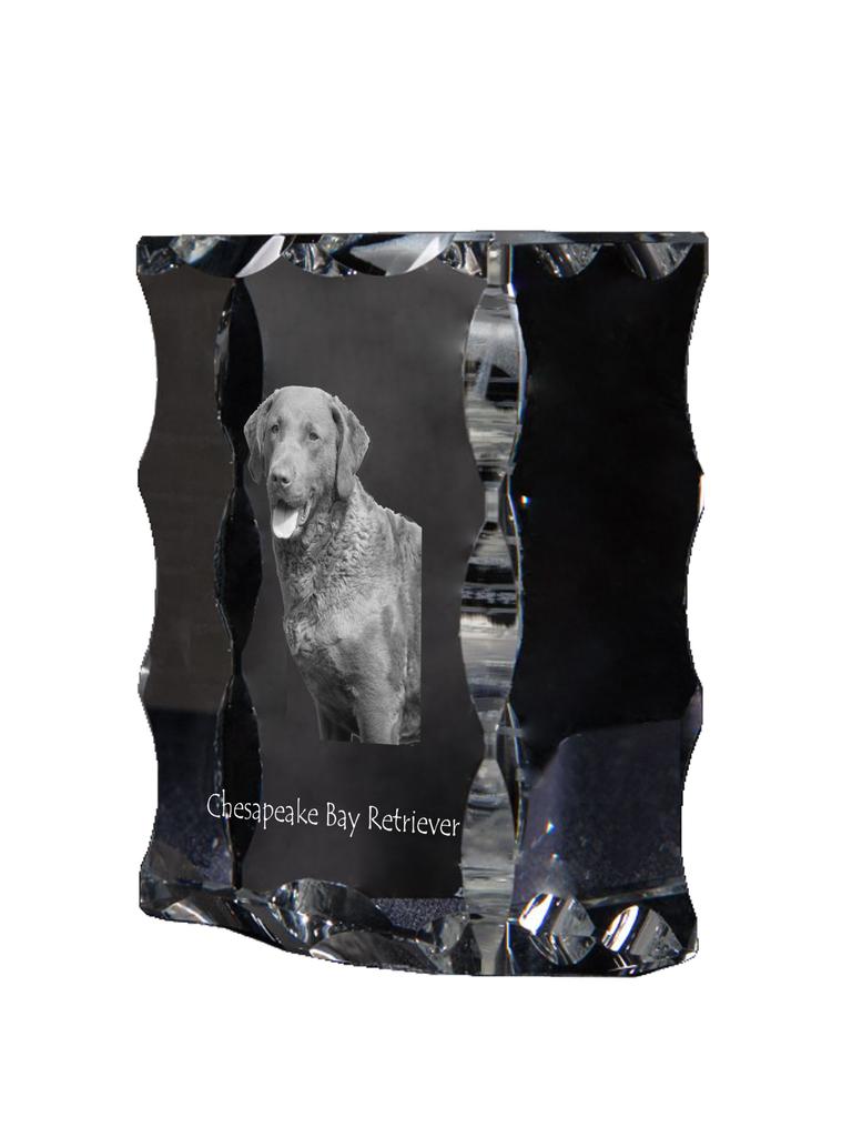 Chesapeake Bay Retriever, Chessie - Crystal with a Picture of a Dog, Glass Statuette with a Picture, Unique Frame with a Picture from Art-Dog Brand