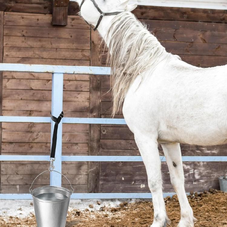 5Pcs Adjustable Horse Stall Bucket Strap Outdoor Feeding Hanging Strap Horse Bucket Straps Hanging Barn Fixed Rope