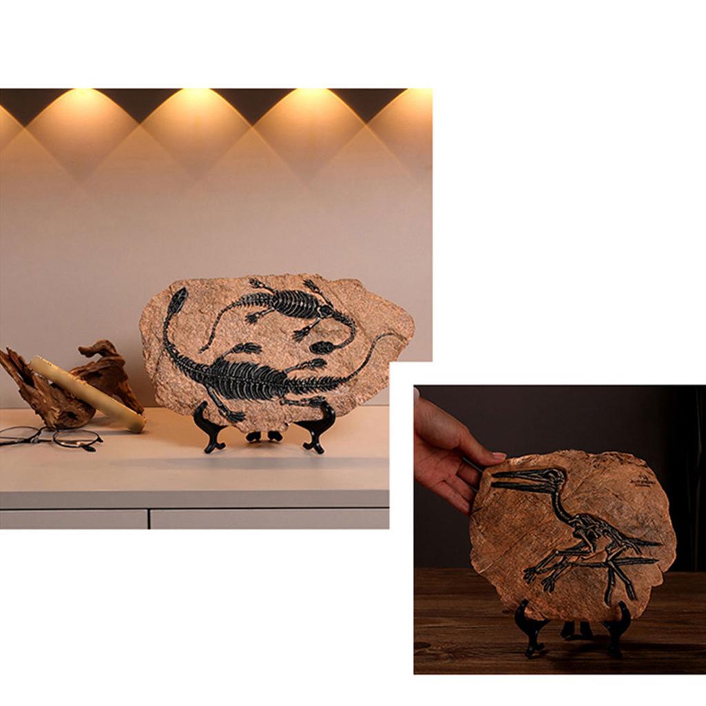 Handcrafts Dinosaur Fossils Model Simulated Dinosaur Skeleton Resins Statue Figurine for Home Decors and Educational Use