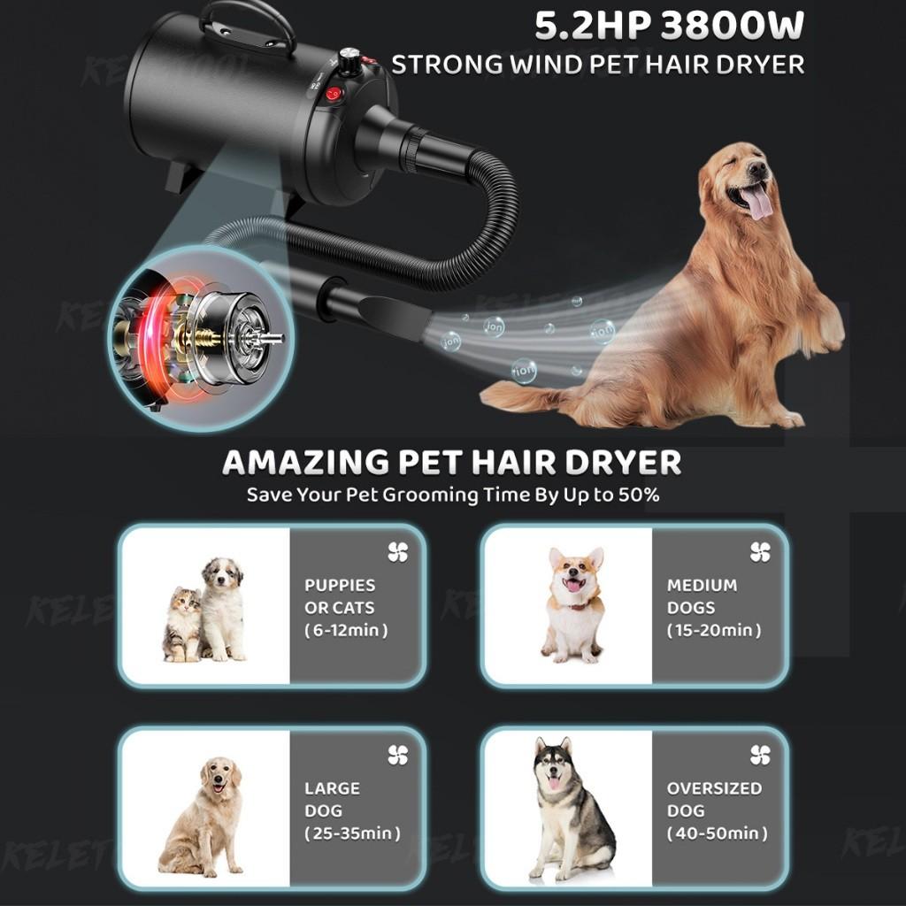 Pet Hair Dryer Machine Adjustable Dog Dryer Cat Hair Dryer Strong Power Low Noice Stepless Speed Blower