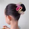 Dancer Bun Hair Net Elastic Drawstring Hairnet Adjustable Gauze Hair Accessories for Girls Dance Ballet Skating Gymnastics