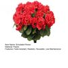 Ramo de begonias artificiales reutilizables para decoración de bodas y fiestas, flores falsas para el hogar, el interior, el jardín y el porche.