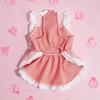 Lovely Plaid and Lace Small Dog Dress Valentine's Day Dog Outfit Party Puppy Costume Spring Cat Skirt
