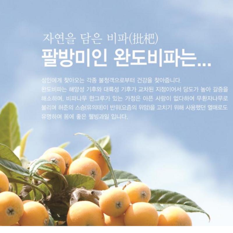 Wando Loquat 4x Concentrated Juice 500ml