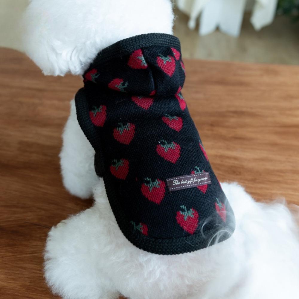 Pet Winter/Autumn Warm Hoodie Pet Strawberry Cloak Teddy Cute Coat Dog Clothes for Small Dogs Puppy Clothes