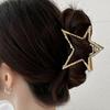 Women's Daily Cubic Big Star Hair Clip