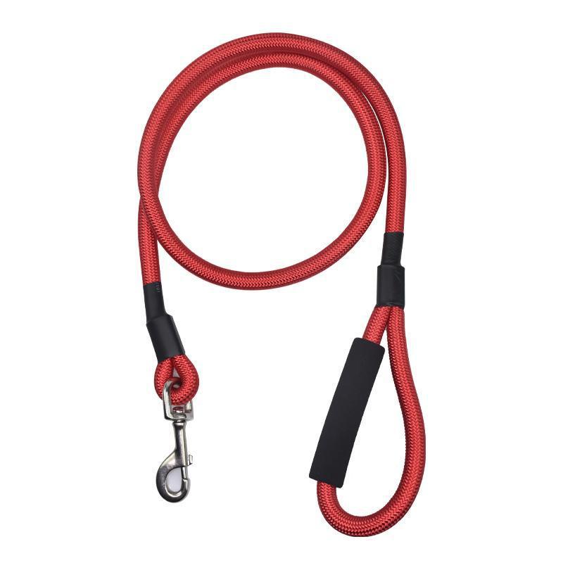 Pet Dog Leash for Small Breeds - Bichon, Teddy, Medium & Large Sizes